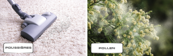 Staub & Pollen
